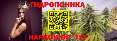Альфа ПВП Кунгур